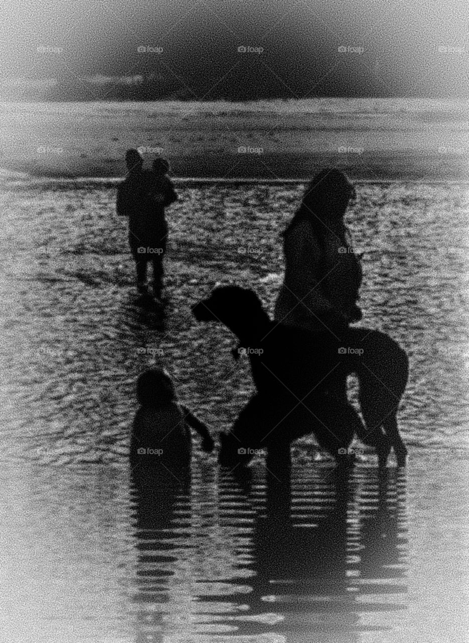 foap mission My kind of relaxation family at dusk on the beach walking dogs wading in the inlet