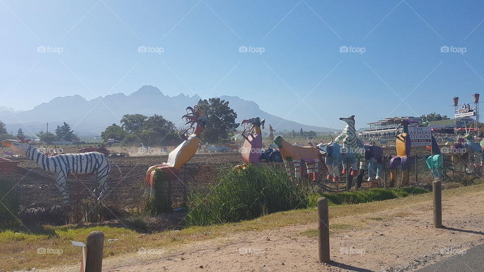 sculpture monsters next to the road. early morning Stellenbosch South Africa
