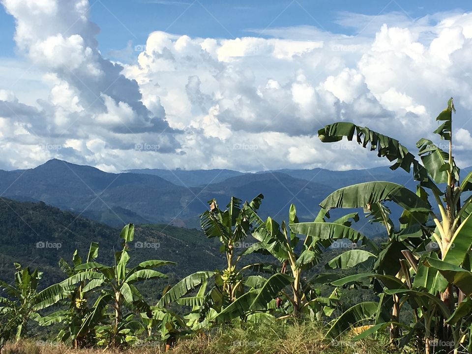 beautiful sky and clouds over the dense green jungle vegetation in the mountains of Peru