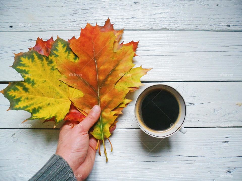 colorful autumn leaves and a cup of coffee on the table