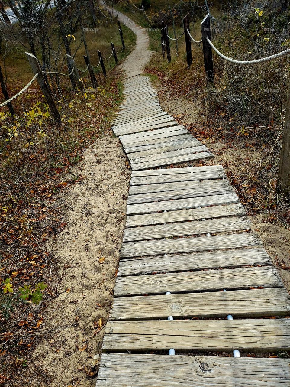 Boardwalk