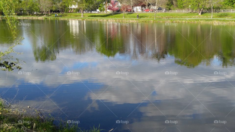 Spring @ the Pond