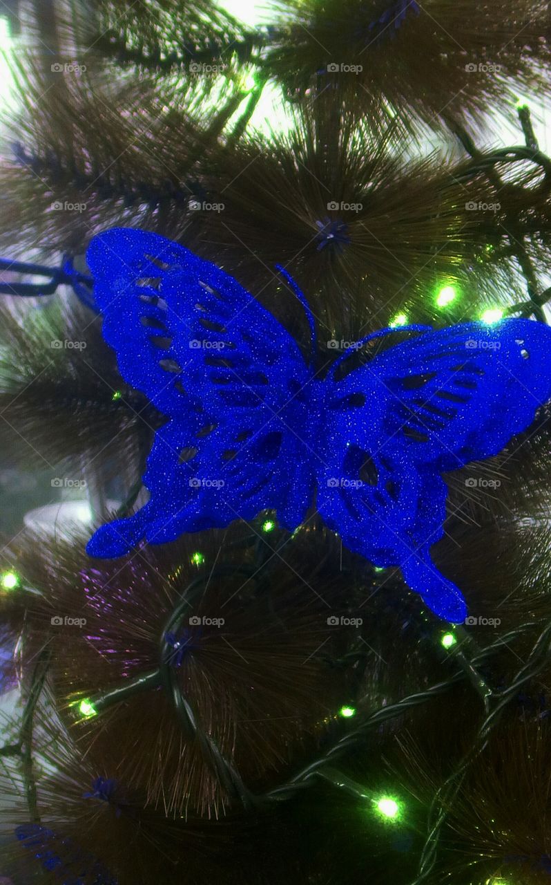 Blue indigo butterfly ornament hanging 
in Christmas tree in closeup