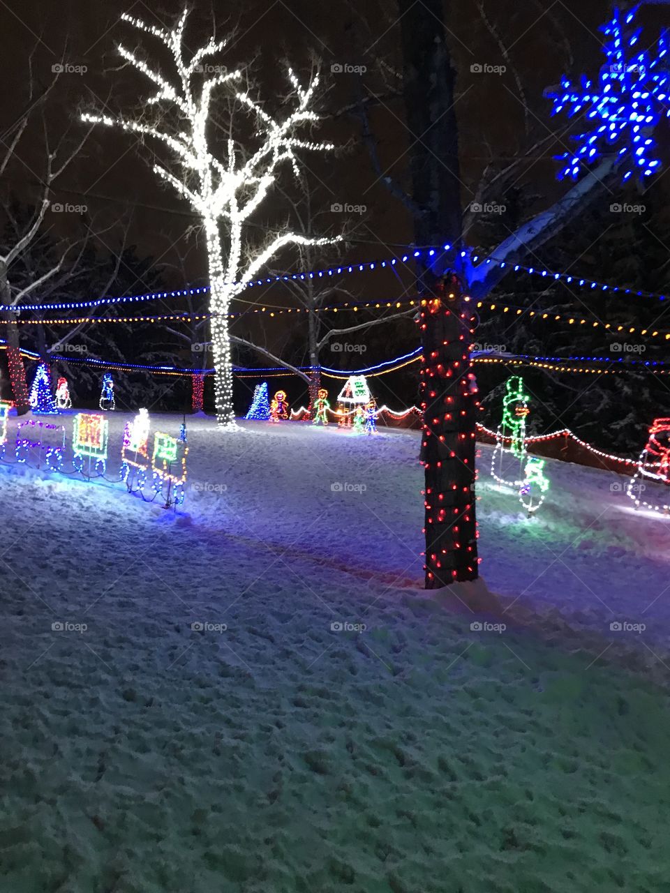 Christmas lights 