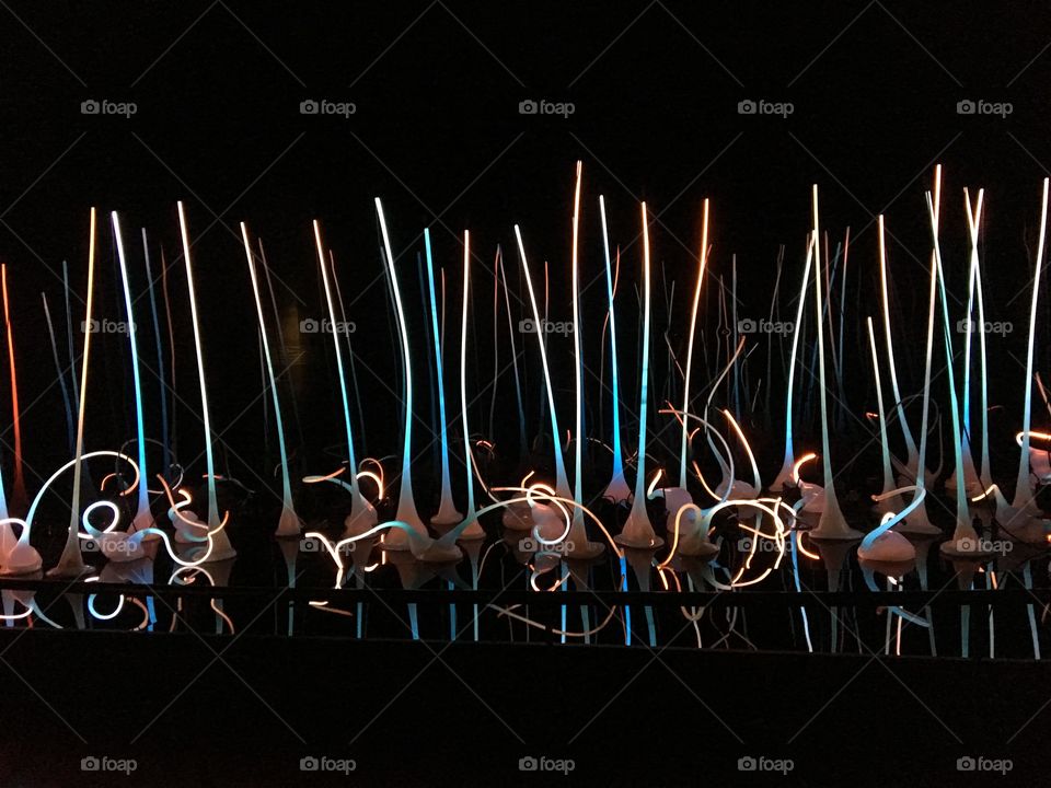Glass sculptures with lights embedded into them at Chihuly Garden and Glass, glowing in the darkness