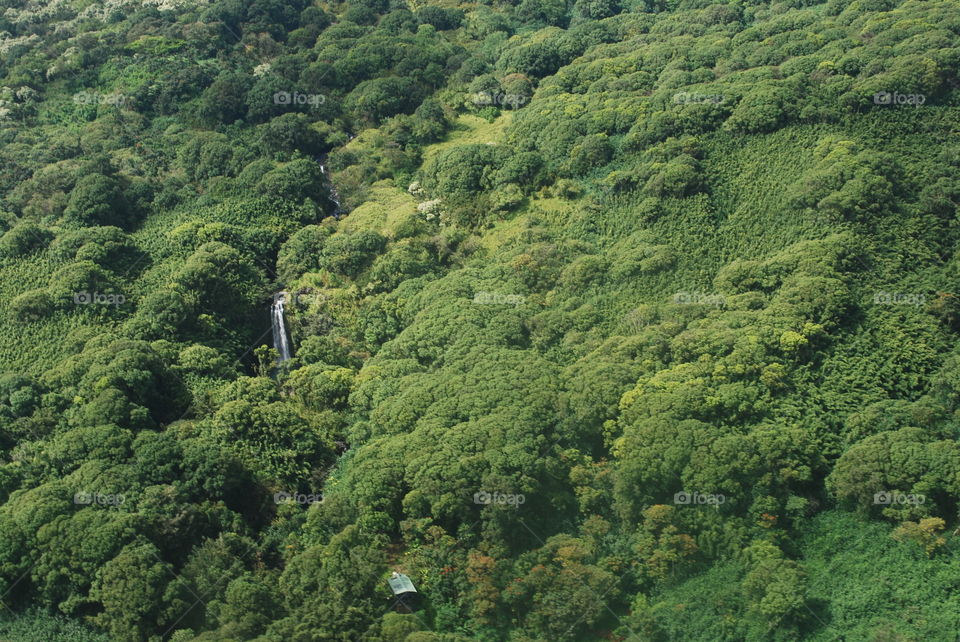 Waterfall in the forest