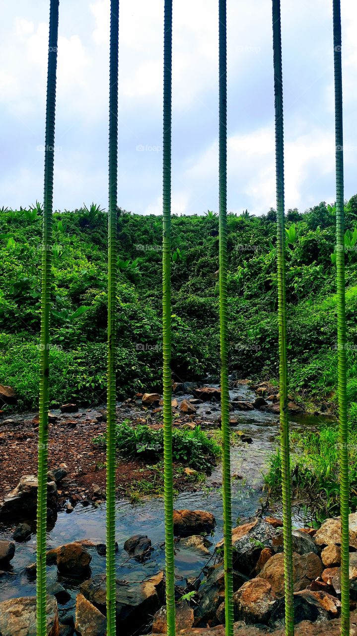 Window- frame of vision and perspective. All basic element of life in one frame with mesmerizing sound of water flowing make this picture more alive. Behind the bars- the view or you, something to contemplate.