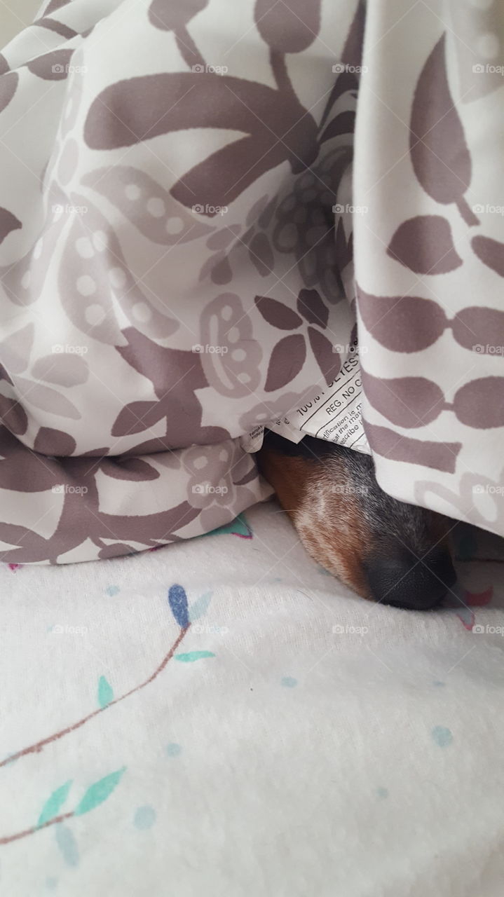 not having a good morning