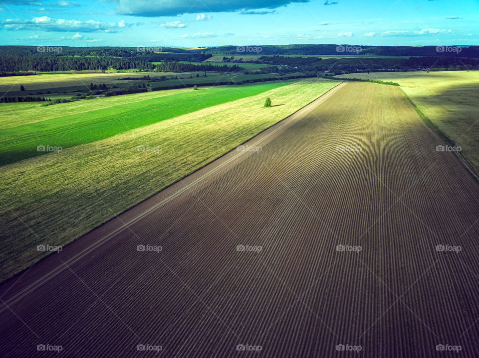 Cloud shadows over fields