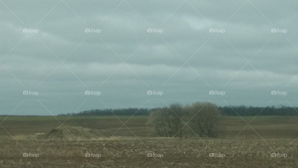 Landscape, No Person, Agriculture, Sky, Nature
