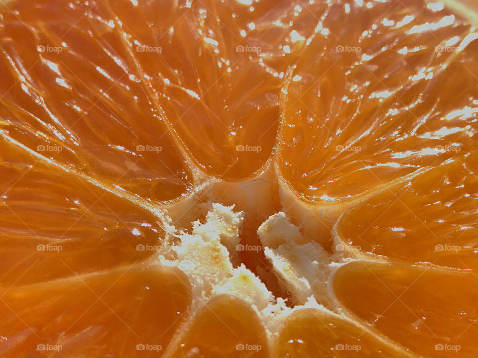 close up of orange