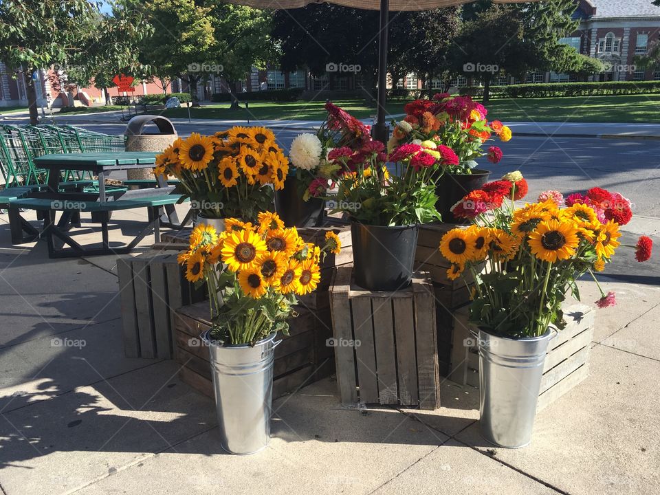 Market flowers