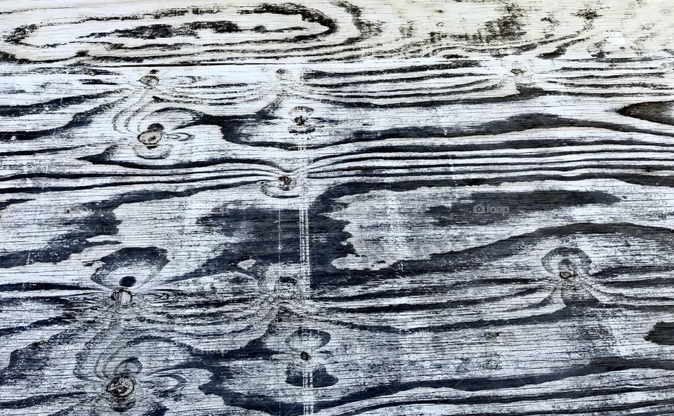 Wood Grain Texture