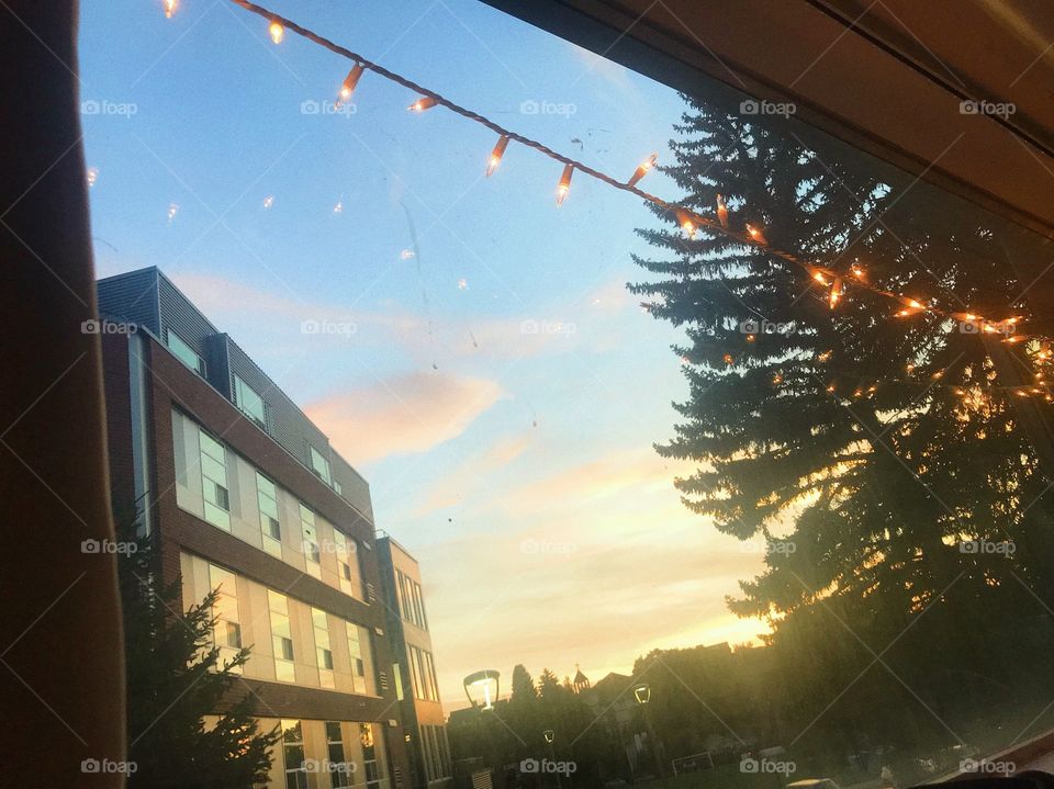 Beautiful view of a building from a dorm room with trees and string lights accentuating the sunset view
