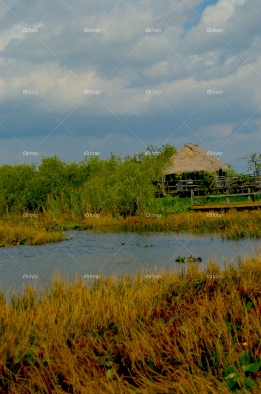 Florida Everglades Hut. Native hut on island in Florida Everglades