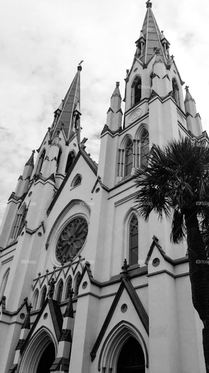 Architect . Cathedral 