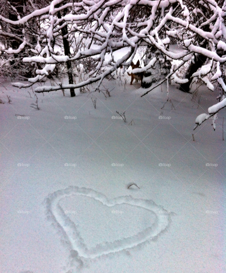 love winter snow forest by serenitykennedy