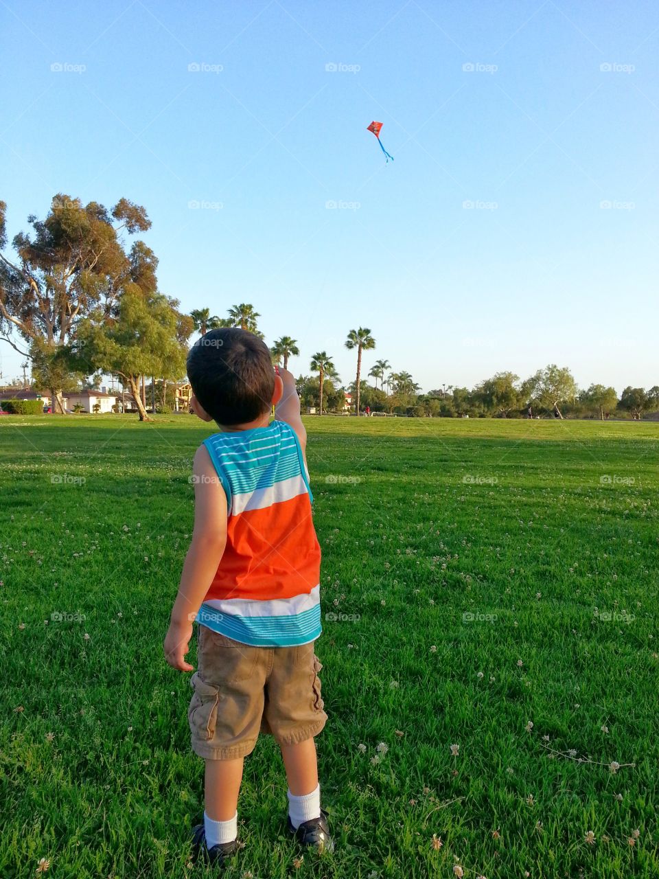 Kite at the park