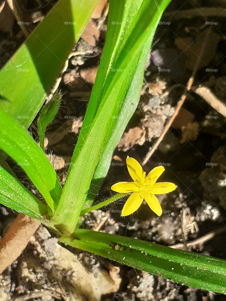 pequena?Mas é vida.