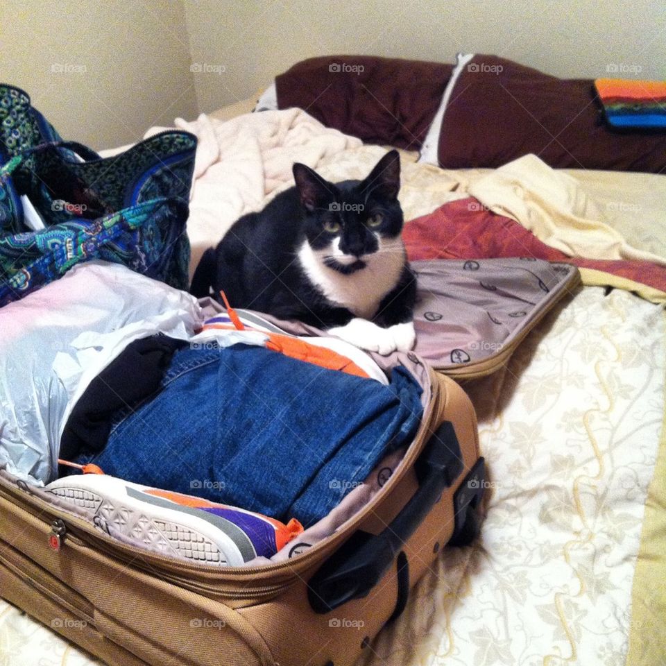 Packing 