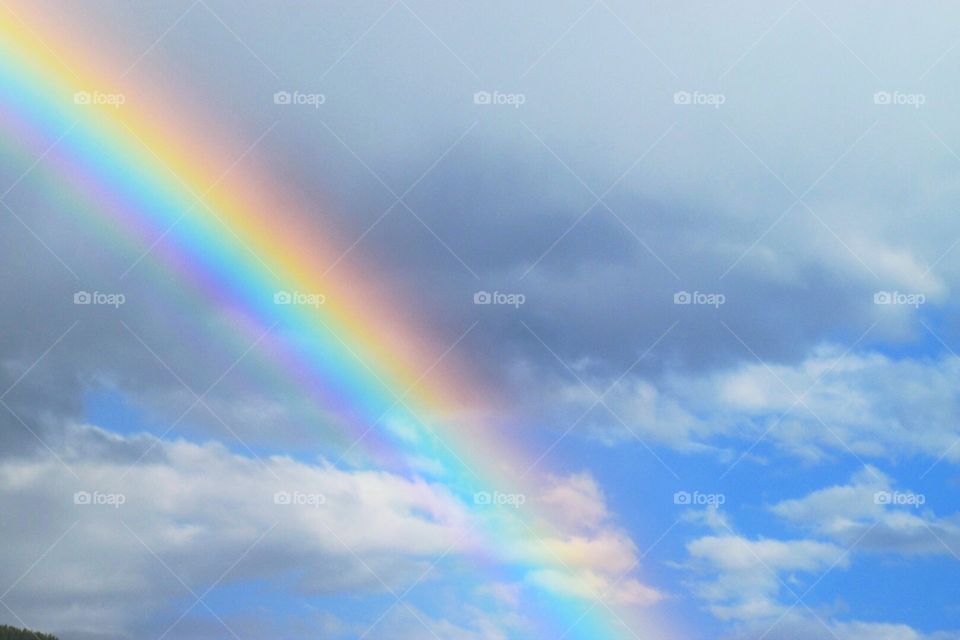 Rainbow