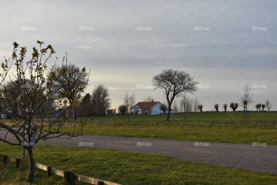 Landscape, Tree, No Person, Grass, Agriculture