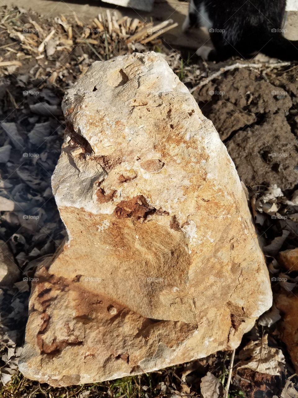 What can we Really see in a Rock