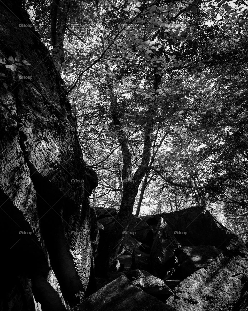 Purgatory chasm Massachusetts