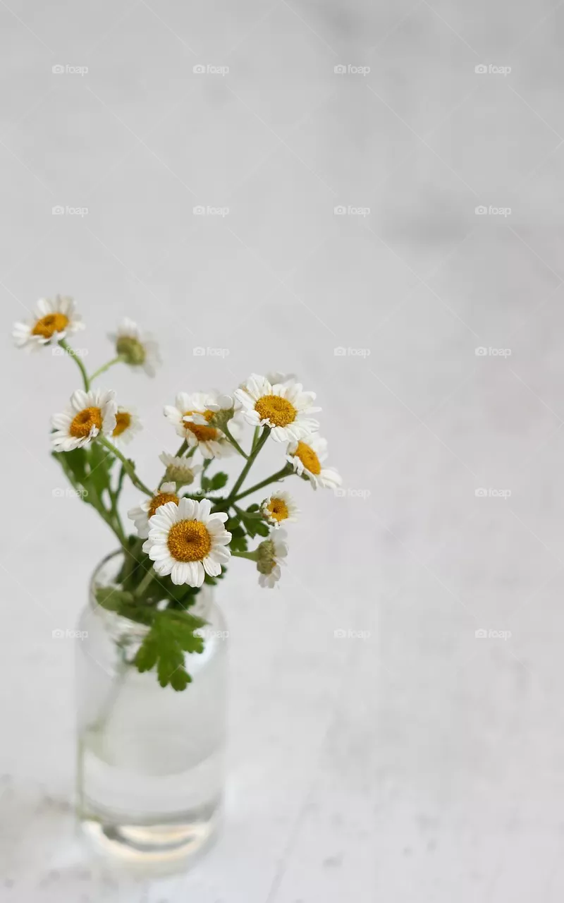 A bouquet of flowers in a vase