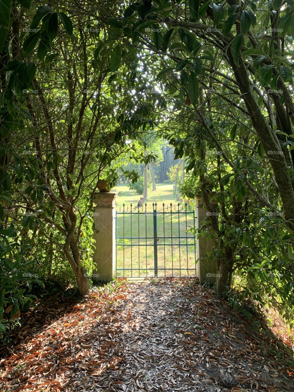 a characteristic glimpse of the Venetian countryside