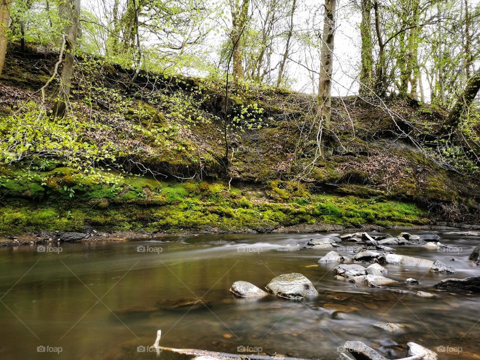 Smooth river of the glen