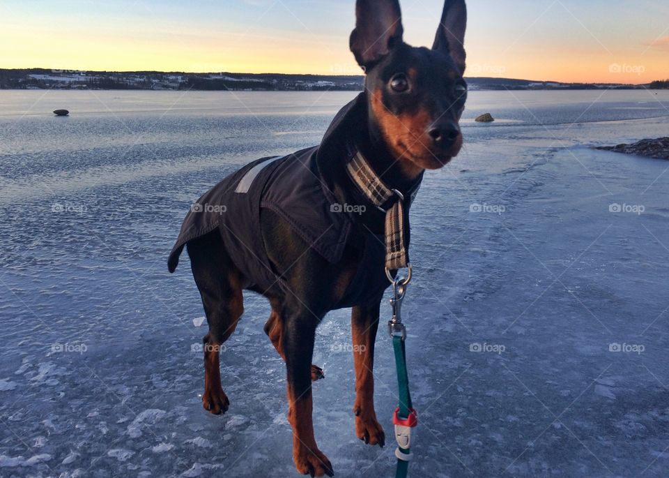 Please do not walk out on this thin ice.