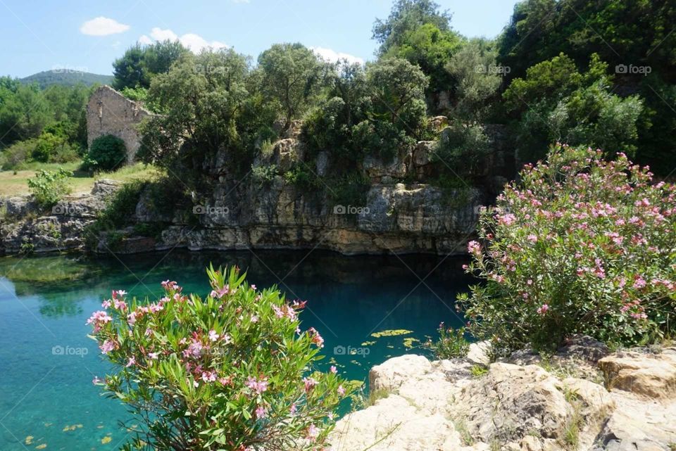 Nature#flowers#lake#trees#rocks#greengrass