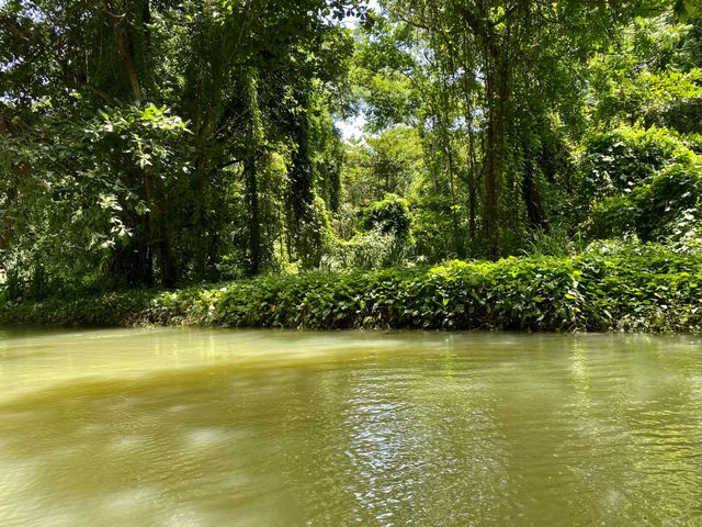 Martha Brae River