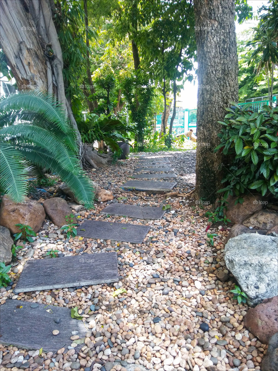 Path and little stone garden