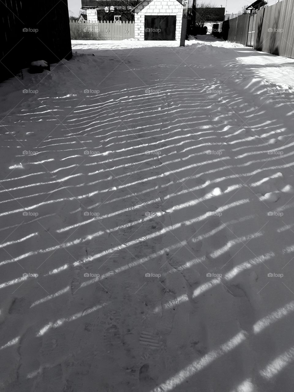 тени на снегу