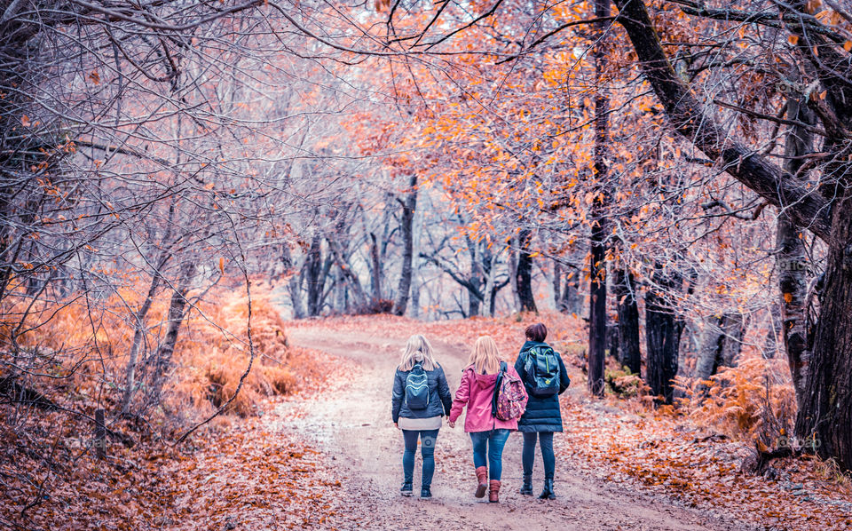 Active women, hiking girls walking in forest living healthy lifestyle doing outdoor activities. Female hikers trekking outside in woods wearing backpacks.