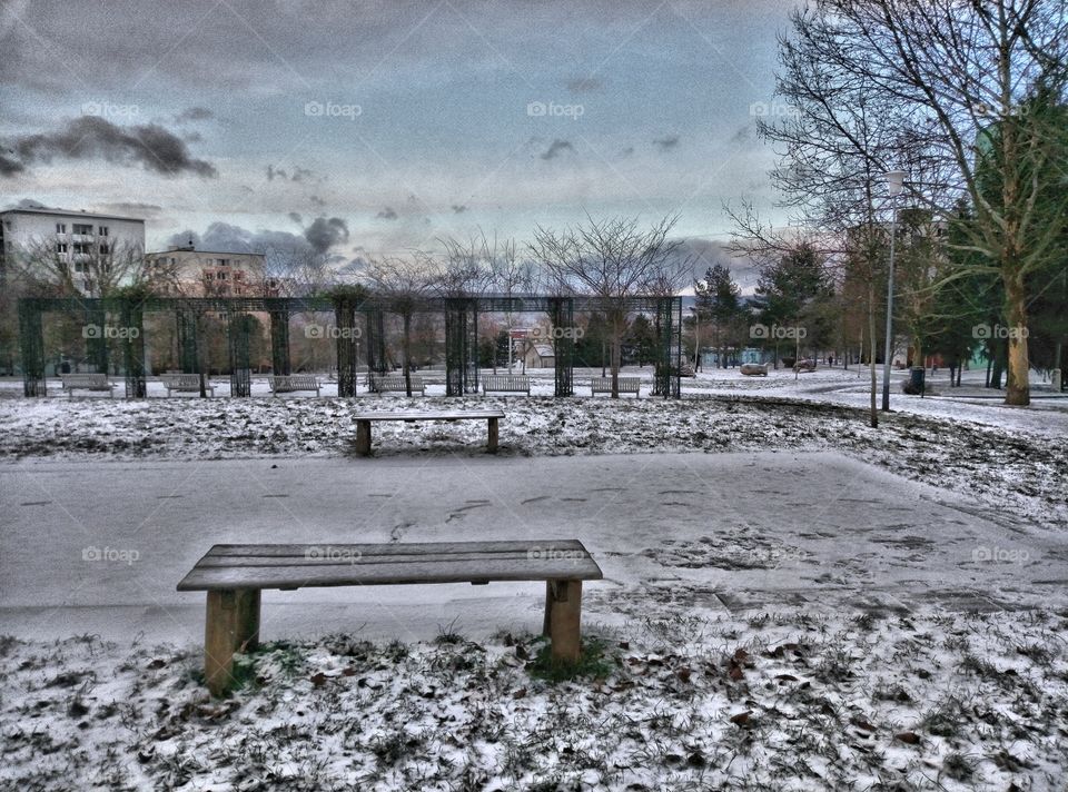 Osservando la neve cadere