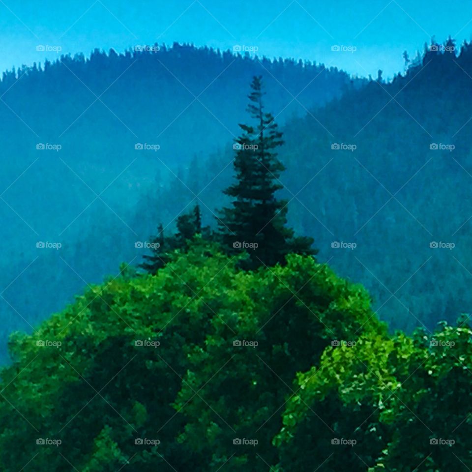 Alone. This is up on the snoquamie pass in Wa