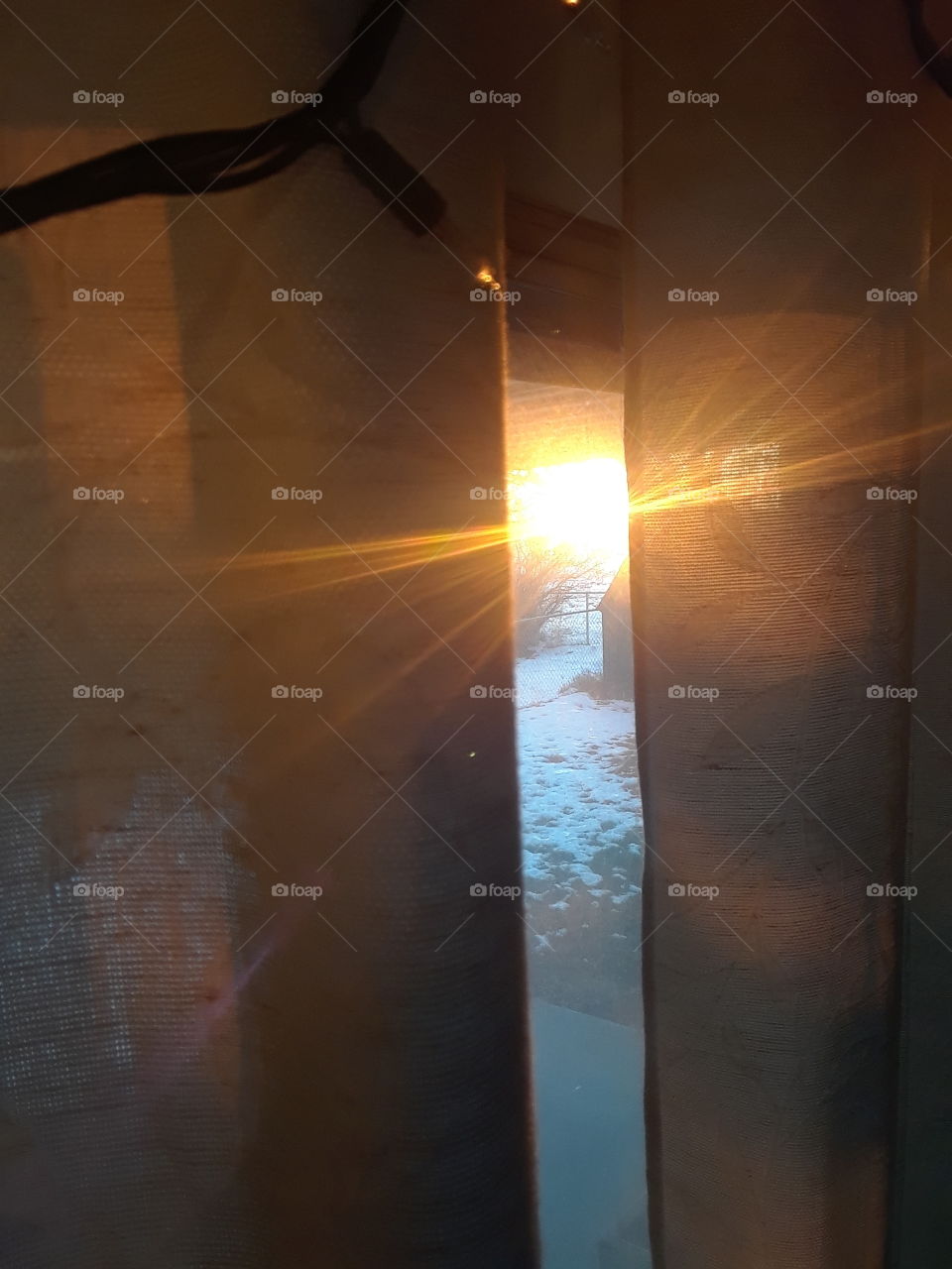 peeking through curtains