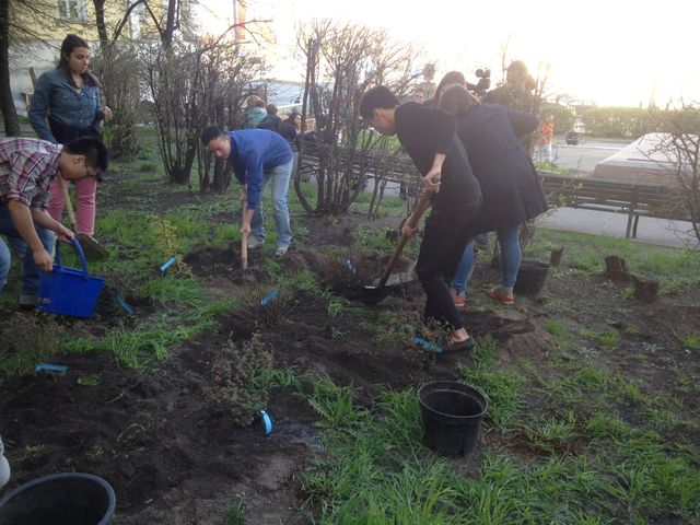 Gard644. Garden