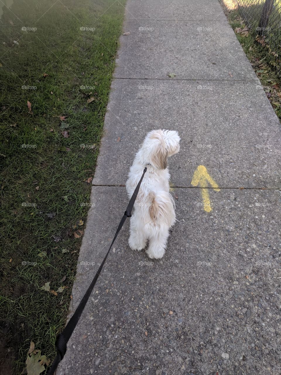 keep going on the right direction