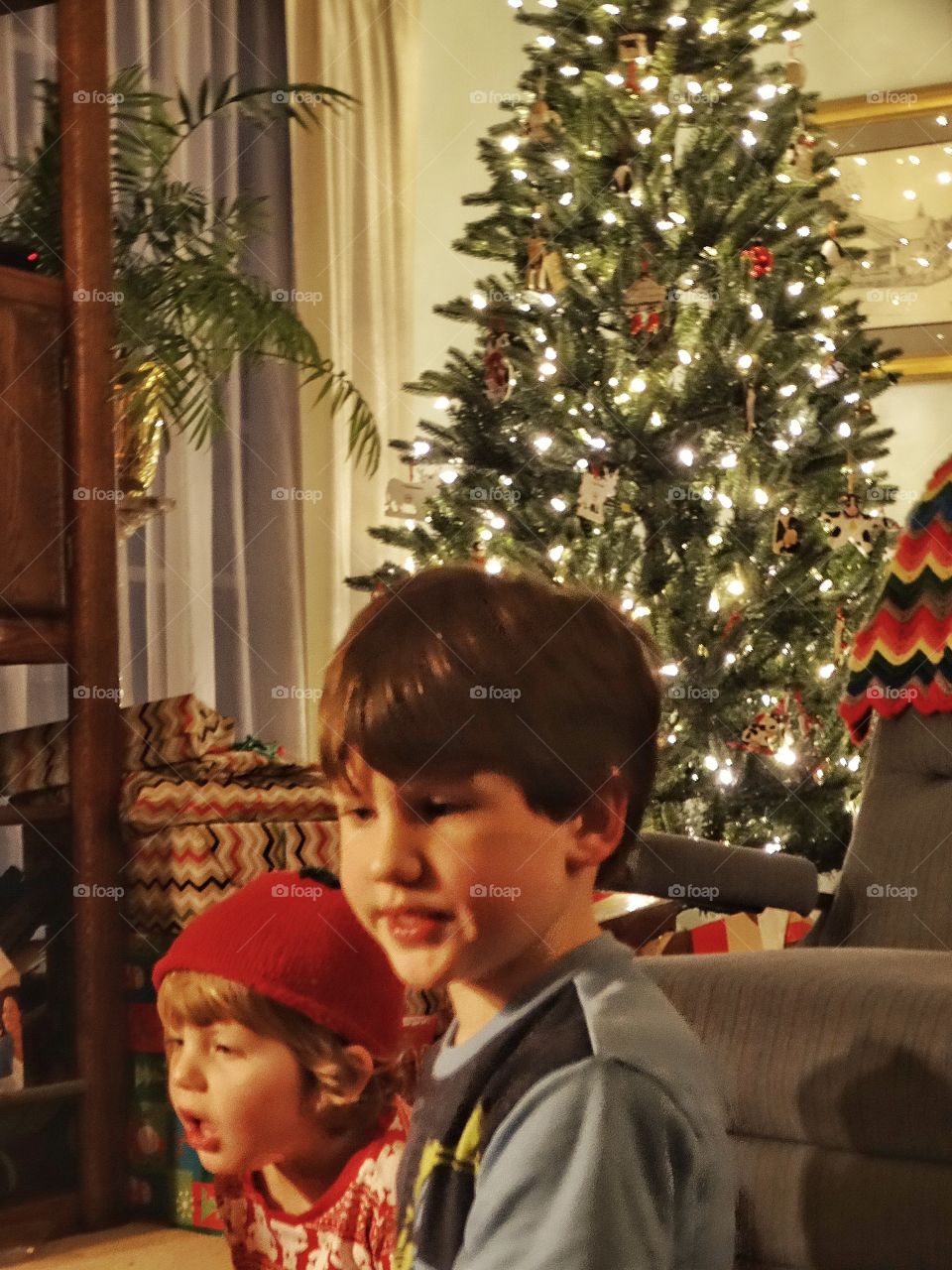 Young Boy With Christmas Tree
