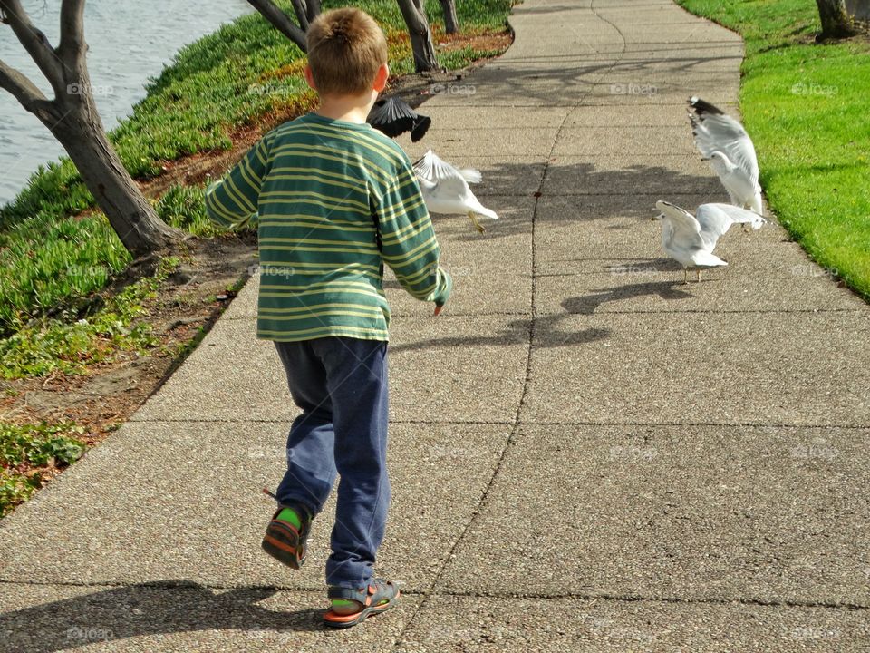 Boy Feeding Birds