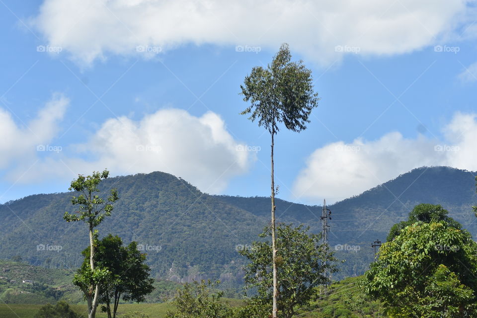 Beautiful mountain range on a sunny day