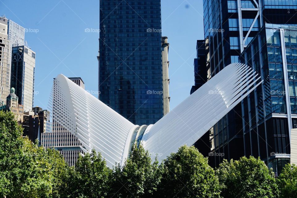 The Oculus, the aesthetic transportation hub at the World Trade Center. The structure is the portrayal of a bird about to take flight.