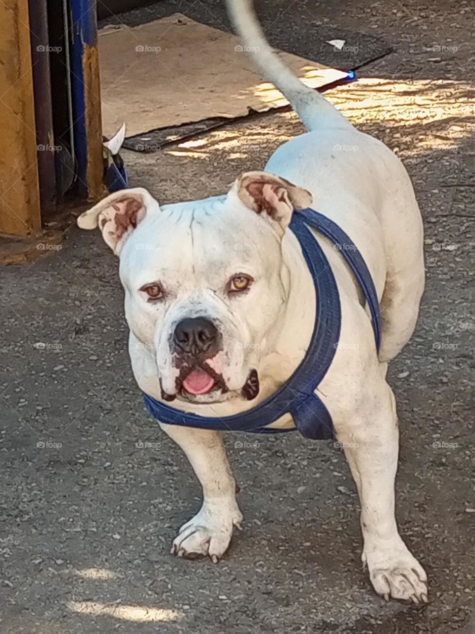 don't come any closer