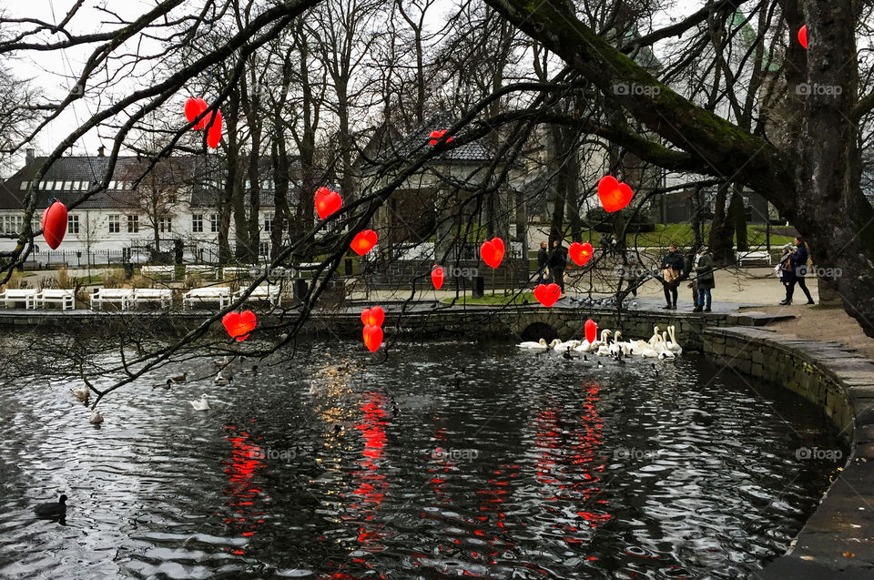 Hearts on a tree. 