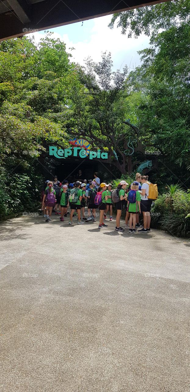 group of people going adventure and standing as croud