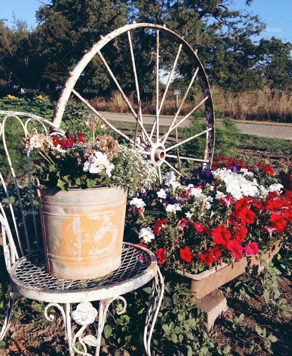 farm flowers